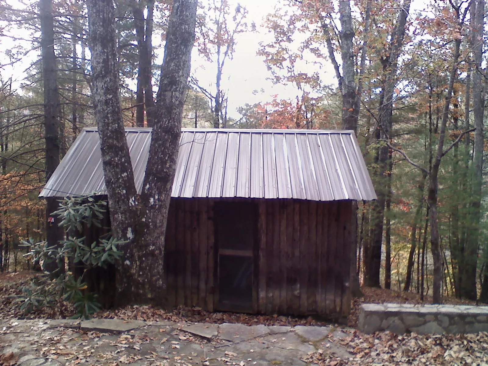 New metal gable roof on a small log shed among the trees in Pelham